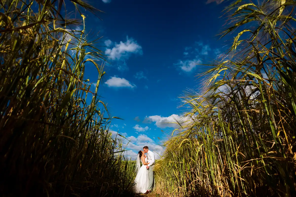 Low view of the couple kissing on a path through tall grasses under a deep blue sky.