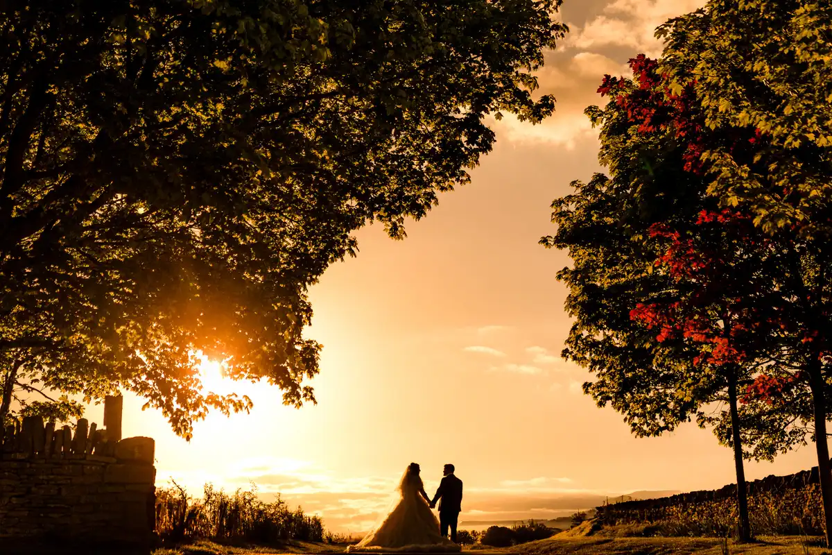 Couple in silhouette holding hands at sunset between trees, a dry stone wall to one side.